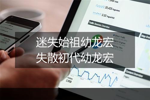 迷失始祖幼龙宏　失散初代幼龙宏