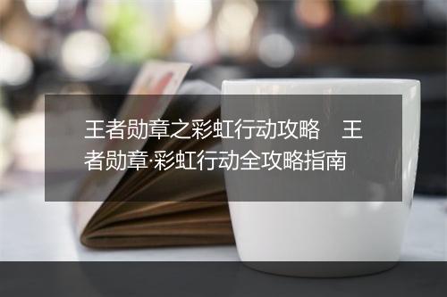 王者勋章之彩虹行动攻略　王者勋章·彩虹行动全攻略指南