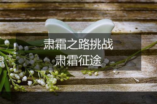 肃霜之路挑战　肃霜征途