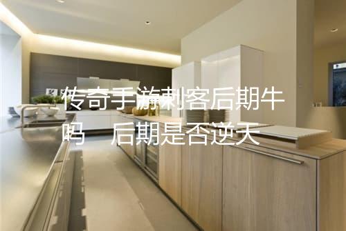 传奇手游刺客后期牛吗　后期是否逆天