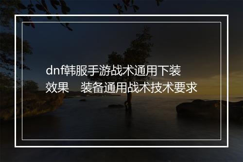 dnf韩服手游战术通用下装效果　装备通用战术技术要求