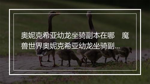 奥妮克希亚幼龙坐骑副本在哪　魔兽世界奥妮克希亚幼龙坐骑副本坐标查询