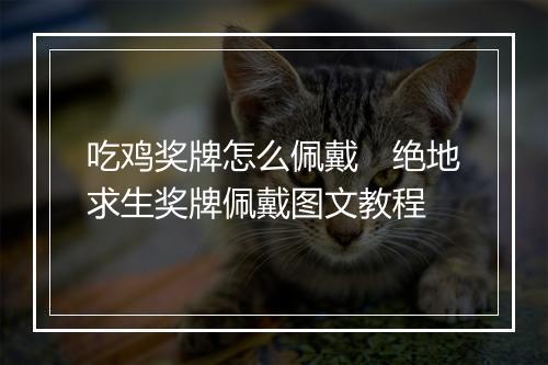 吃鸡奖牌怎么佩戴　绝地求生奖牌佩戴图文教程