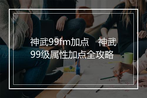神武99fm加点　神武99级属性加点全攻略