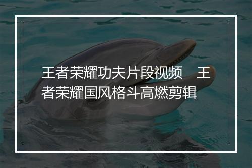 王者荣耀功夫片段视频　王者荣耀国风格斗高燃剪辑