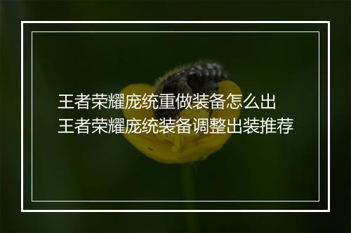王者荣耀庞统重做装备怎么出　王者荣耀庞统装备调整出装推荐