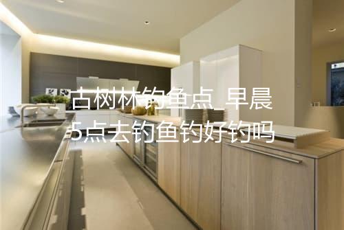 古树林钓鱼点_早晨5点去钓鱼钓好钓吗