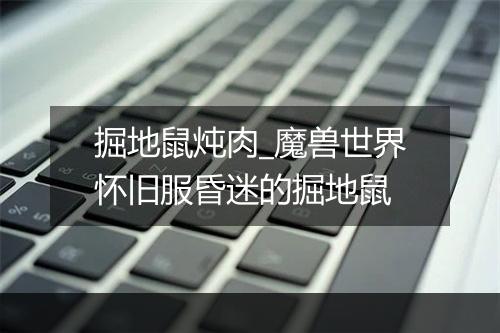 掘地鼠炖肉_魔兽世界怀旧服昏迷的掘地鼠