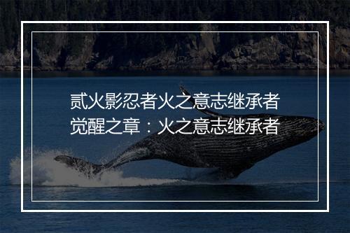 贰火影忍者火之意志继承者　觉醒之章：火之意志继承者