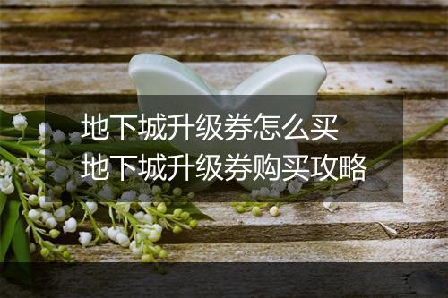 地下城升级券怎么买　地下城升级券购买攻略