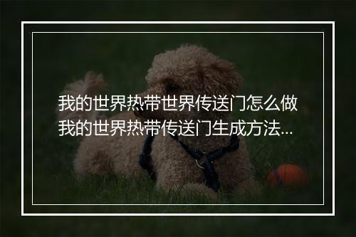 我的世界热带世界传送门怎么做　我的世界热带传送门生成方法详解