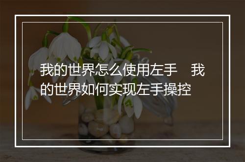 我的世界怎么使用左手　我的世界如何实现左手操控