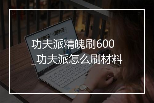 功夫派精魄刷600_功夫派怎么刷材料